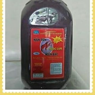 MẮM TÔM BẮC NGỌC LÂM 48KG