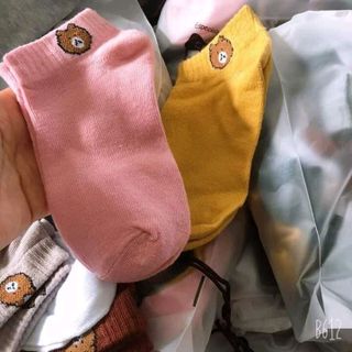 Tất gấu quảng châu