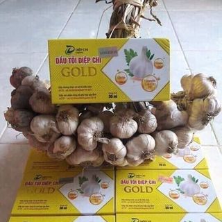 Dầu tỏi Diệp Chi Gonl