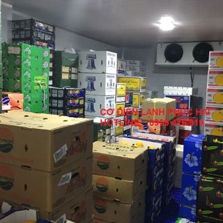 Lắp kho lạnh bảo quản trái cây