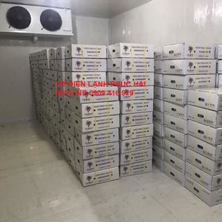 Lắp kho lạnh bảo quản trái cây