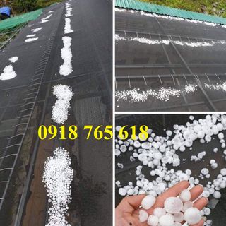 Lưới che nắng dệt kim đài loan