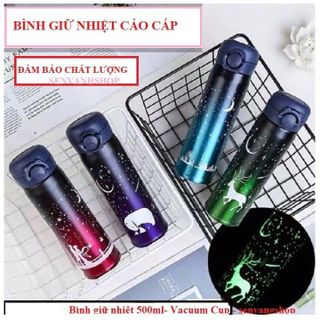 Bình giữ nhiệt 500ml