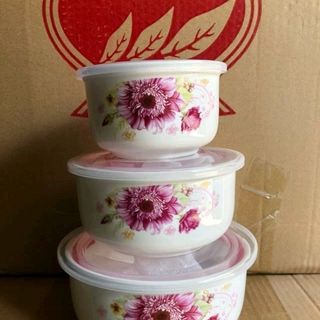 Bộ tô chén đĩa hộp xốp bộ 3 thố sứ cao cấp