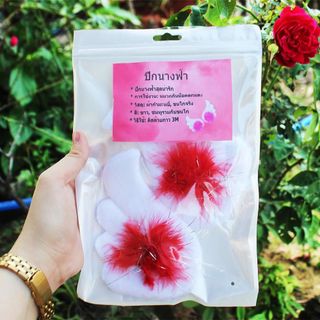 Cánh Thiên thần gắn nón bảo hiểm cao cấp