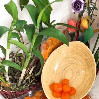 LÒNG ĐỎ TRỨNG MUỐI 09R/TRỨNG
