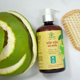 DẦU GỘI - SỮA TẮM TỪ TINH DẦU