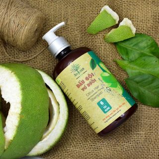 Dầu gội bưởi trị rụng tóc AmeGreen