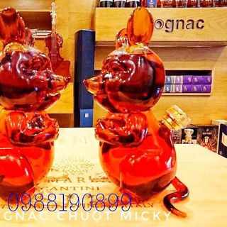 Bình đựng R linh vật 2020 chuột Micky Nga