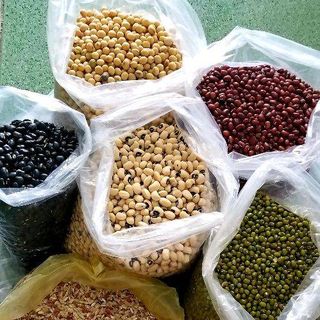 ngũ cốc