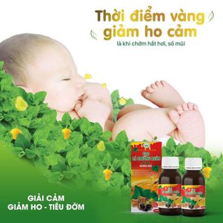 Cao hoCAO LÁ THƯỜNG XUÂN TỎI ĐEN CHANH ĐÀO