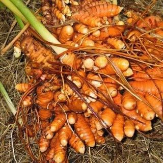 Viên tinh nghệ mật ong rừng Vanbina - 500gr