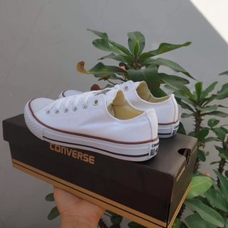CV cổ thấp màu trắng