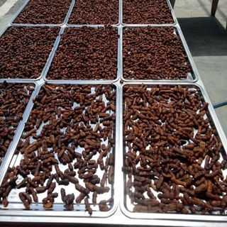 Me lào 1 nắng muối tôm hũ 500g
