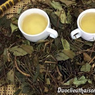 Chuyên sỉ chè vằng sẻ