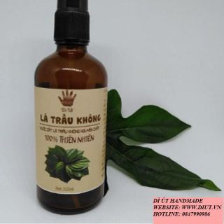 PHÂN PHỐI LÁ TRẦU KHÔNG GIÁ SỈ - LẺ BỘT LÁ TRẦU KHÔNG GIÁ SỈ - LẺ TÚI LỌC BỘT LÁ TRẦU KHÔNG GIÁ SỈ -LẺ NƯỚC CẤT LÁ TRẦU KHÔNG GIÁ SỈ - LẺ LÁ TRẦU KHÔNG KHÔ GIÁ SỈ LẺ