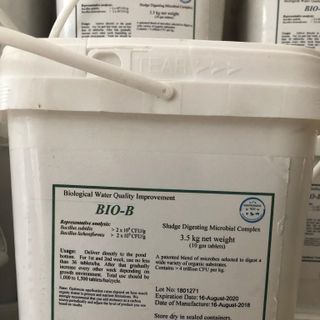 BIO-B Men vi sinh hạt xử lý đáy giá sỉ