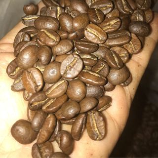 Cafe hạt nguyên chất giá sỉ