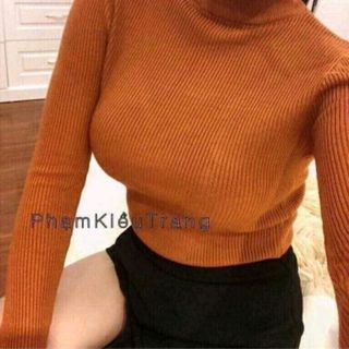 áo len tăm cổ 3 phân