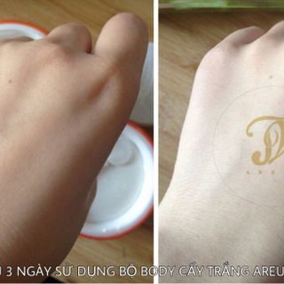 BỘ KEM BODY CẤY TRẮNG AREUM HƯƠNG NƯỚC HOA CAO CẤP