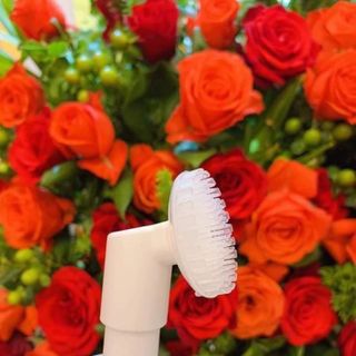 SỮA RỮA MẶT MAI THẢO MỘC