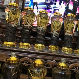 Bình 7L Ngâm rắn hổ mang