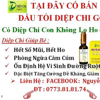 DẦU TỎI DIỆP CHI GOLD