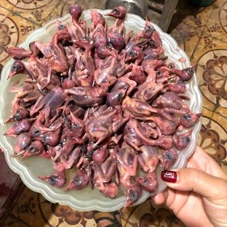 én tươi ngon