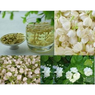 Sỉ Trà Hoa Nhài - chuyên sỉ Trà Hoa Quả - Trà Thảo Dược các Loại
