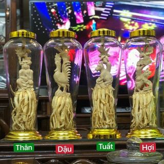 Đinh lăng điêu khắc bình 7L 12 con giáp