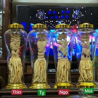 Đinh lăng điêu khắc bình 7L 12 con giáp