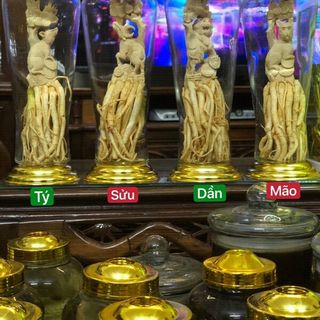 Đinh lăng điêu khắc bình 7L 12 con giáp