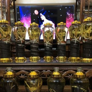 Rượu rắn hổ mang bình 7L