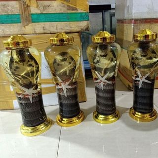 Rượu rắn hổ mang bình 7L