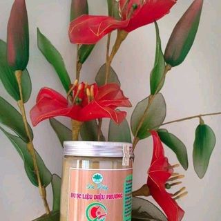 thốc dạ dầy duọc liệu diệu phương