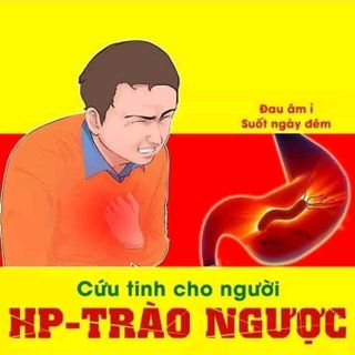thốc dạ dầy duọc liệu diệu phương