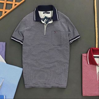 Áo thun Polo nam, áo phông nam kẻ sọc Tom Túi