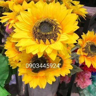 Hoa giả - Hoa Hướng Dương Cành 3 Bông To Đại Bán Sỉ cao 1m1