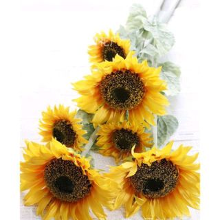 Hoa giả - Hoa Hướng Dương Cành 3 Bông To Đại Bán Sỉ cao 1m1