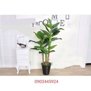 Cây Chuối Cảnh giả giống thật cao 1m6