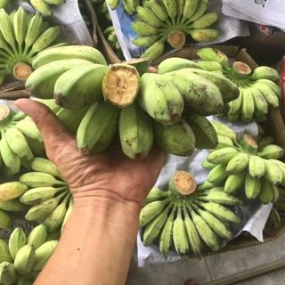 chuối sáp sống 1kg