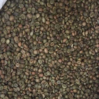 Cà Phê ROBUSTA hạt rang mộc nguyên chất 100