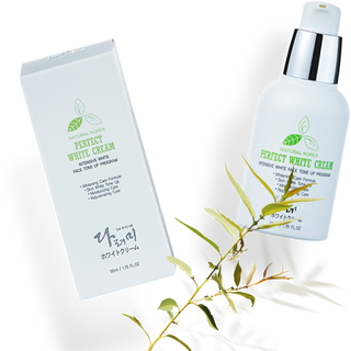 Kem Dưỡng Trắng Da Mặt Perfect White Cream - Mỹ Phẩm Hàn Quốc