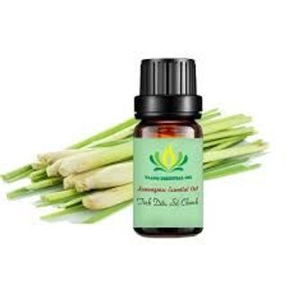 Tinh dầu Sả Chanh điều hòa môi trường KHỬ MÙI phòng ốC và đuổi côn trùng