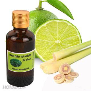 Tinh dầu Sả Chanh điều hòa môi trường KHỬ MÙI phòng ốC và đuổi côn trùng