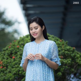 ĐẦM VOAN DÁNG SUÔNG 2865