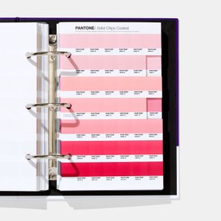 Bảng màu pantone GP1606A