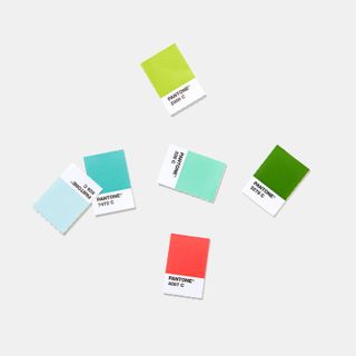 Bảng màu pantone GP1606A