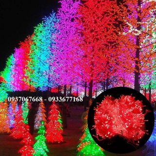 đèn led chớp/không chớp 8m - đèn led trang trí giáng sinh lễ tết