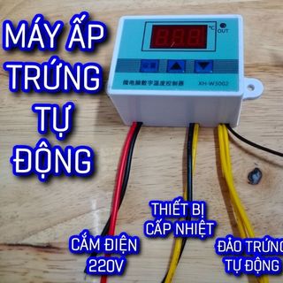 Máy ấp tích hợp đảo tự động XH-W3002 giá sỉ